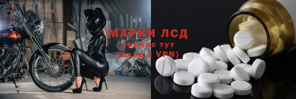 гидропоника Бородино