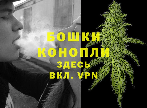 крисы Богданович