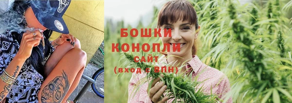 гидропоника Бородино
