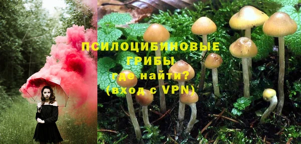 Альфа ПВП Костерёво
