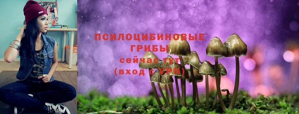 крисы Богданович