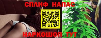 хмурый Бийск