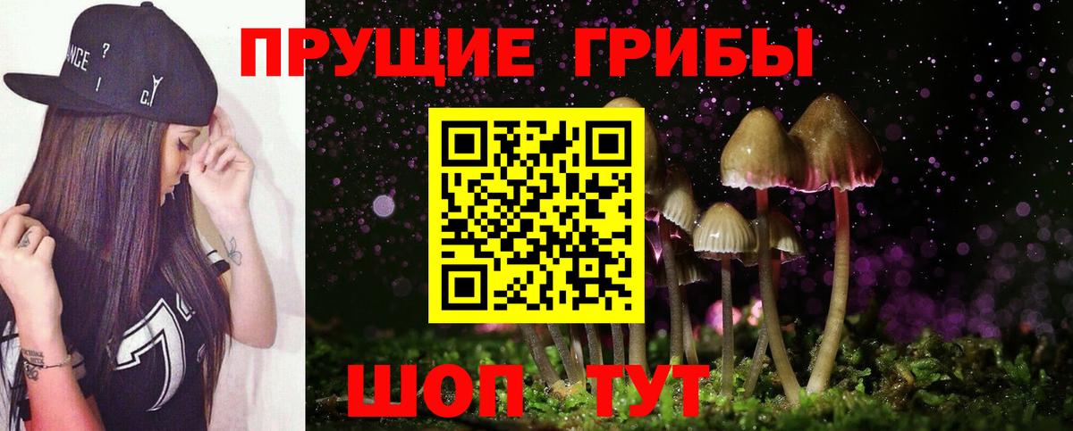 Псилоцибиновые грибы Cubensis Бутурлиновка