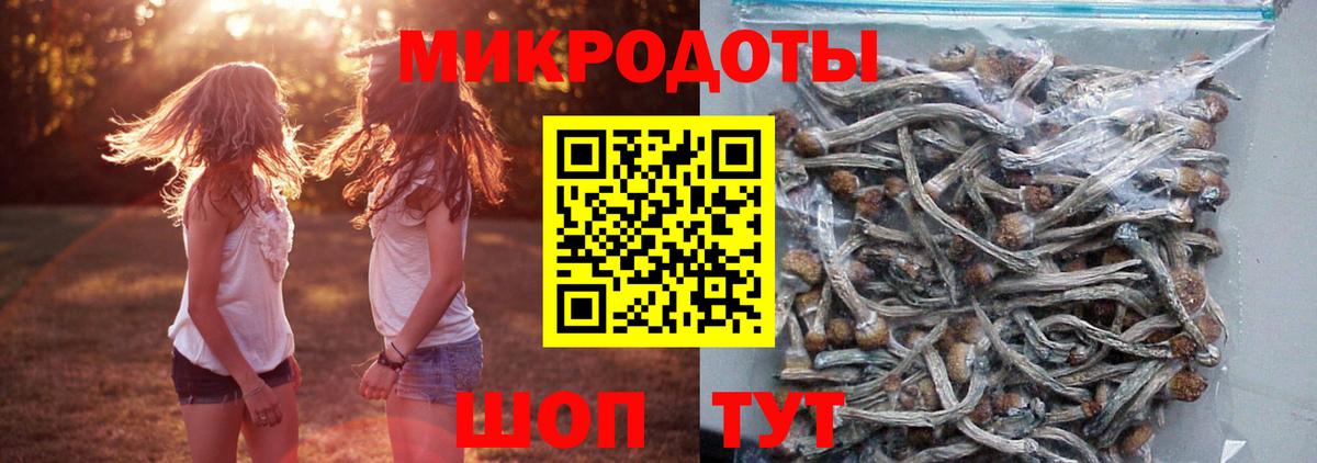 Псилоцибиновые грибы ЛСД Бутурлиновка