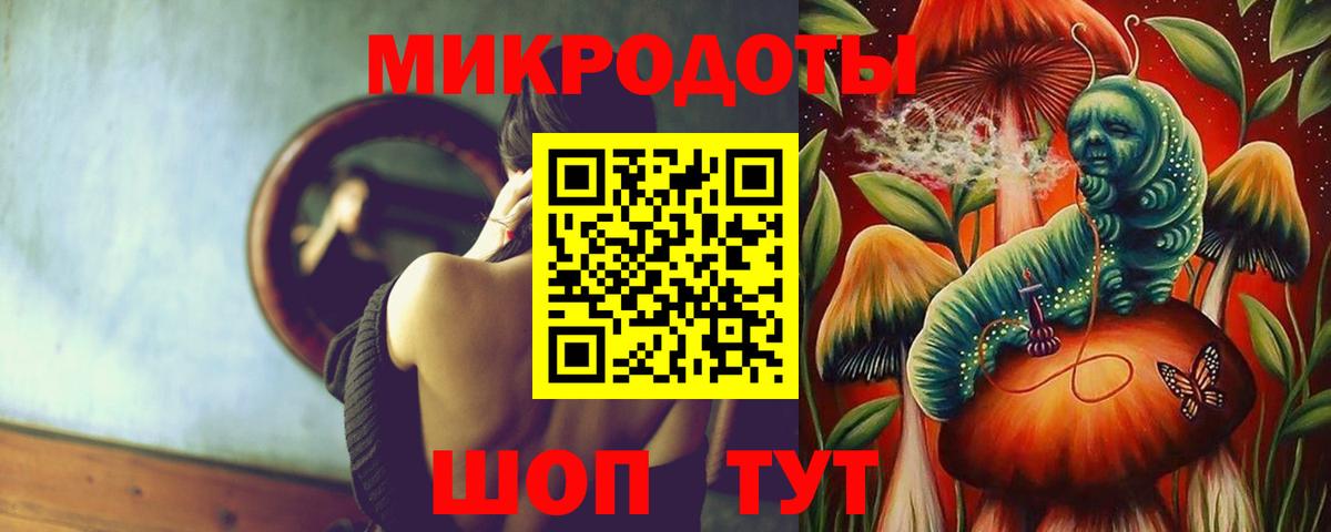 Псилоцибиновые грибы Psilocybine cubensis  Бутурлиновка 