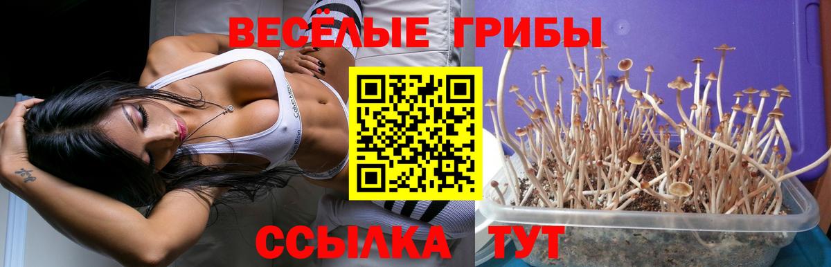 Бутурлиновка  МЕТ  Меф кристаллы  Гашиш  Вход с VPN  Каннабис 