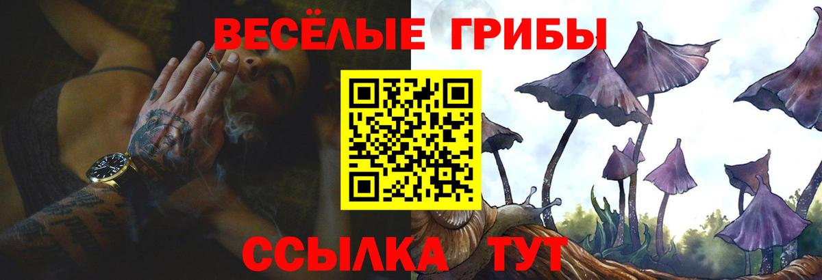 Псилоцибиновые грибы Psilocybe  Вход с VPN  Бутурлиновка  Псилоцибиновые грибы мухоморы 